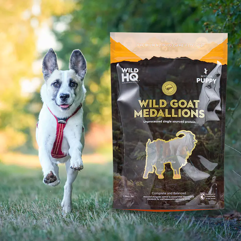 Renkli Çevre Dostu Dijital Baskı-Düşük Kese Kahve Poşeti